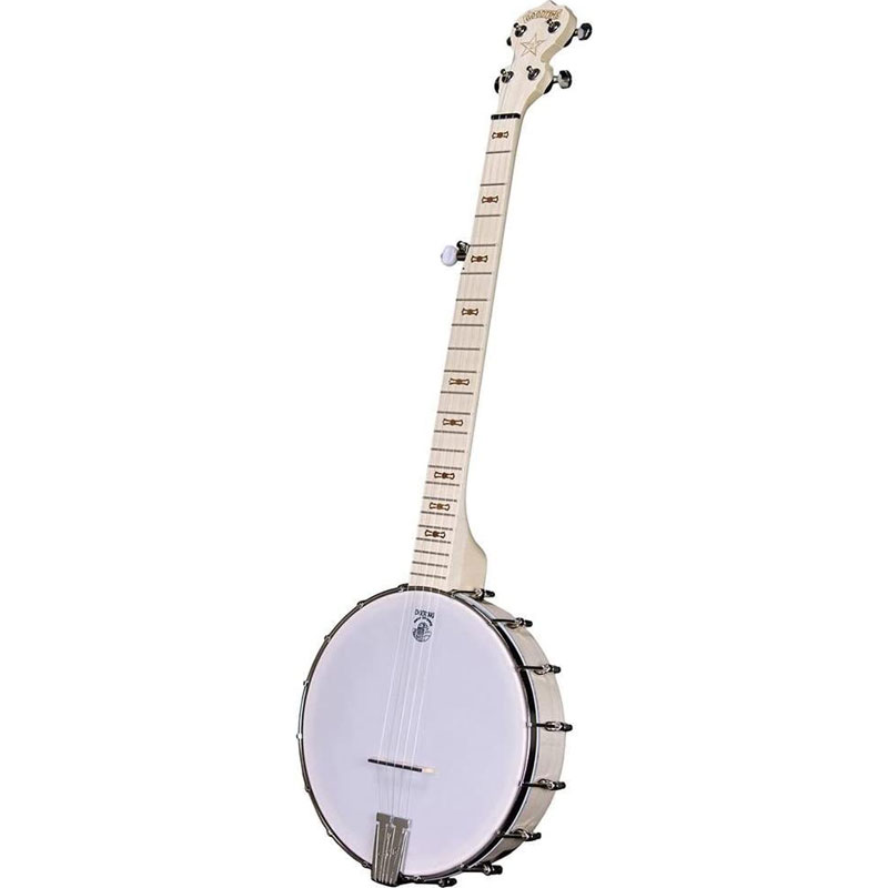 deering goodtime openback banjo
