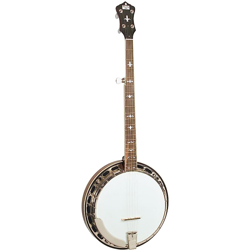 recording king r35 bluegrass banjo
